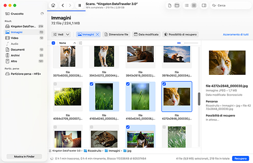 Anteprima dei file recuperabili Anteprima dei file recuperabili
