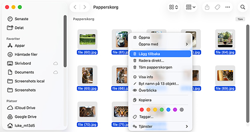 Återställ från din Macs papperskorg