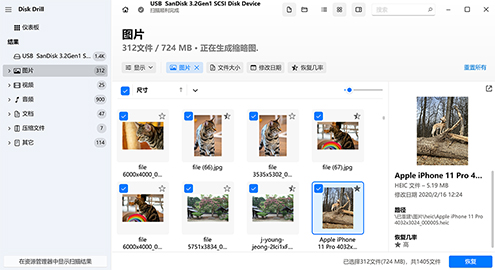 选择要恢复的文件