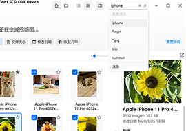 管理可恢复项，并在找到的文件中进行搜索