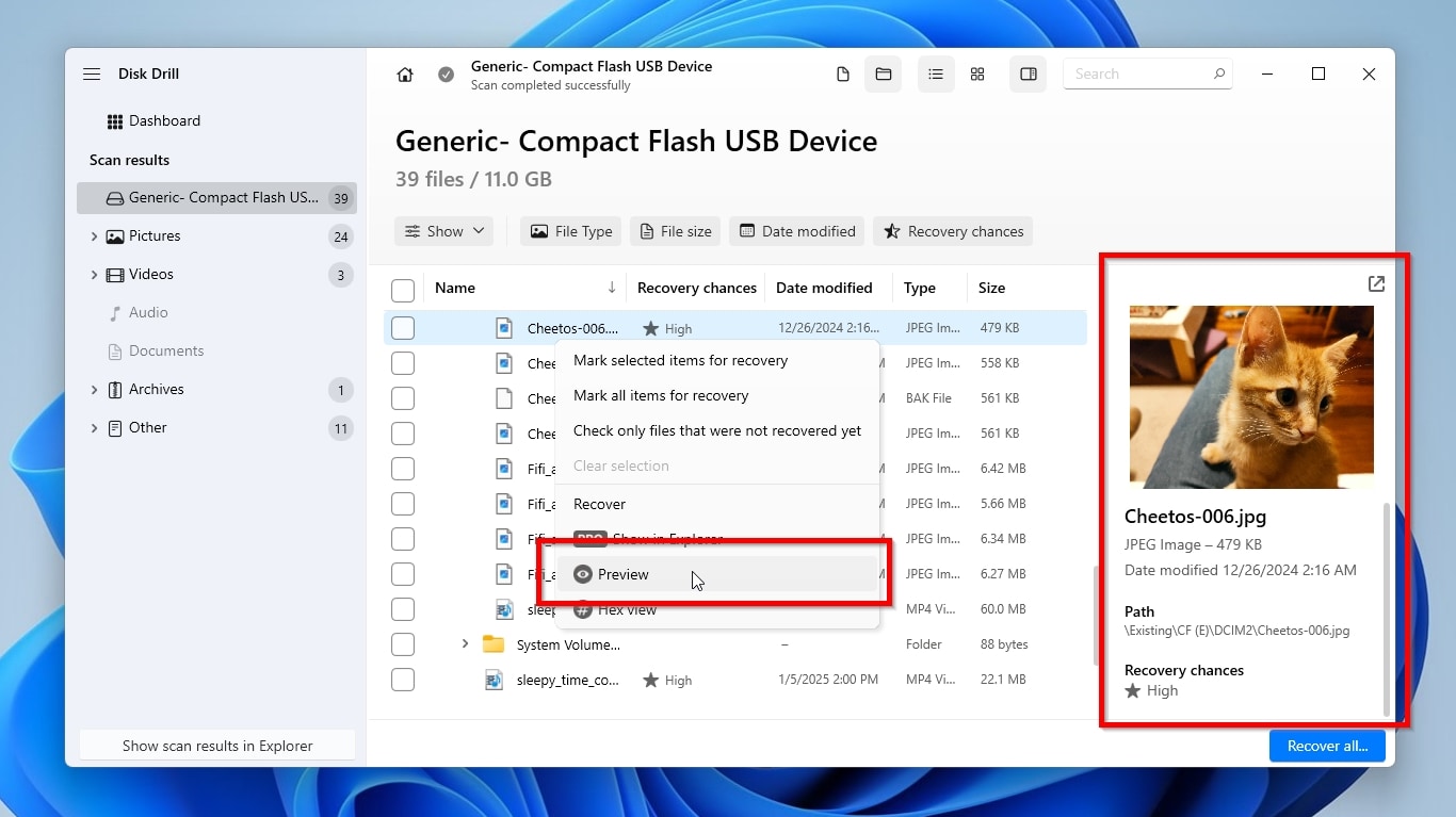 Disk Drill Preview Option and Pane