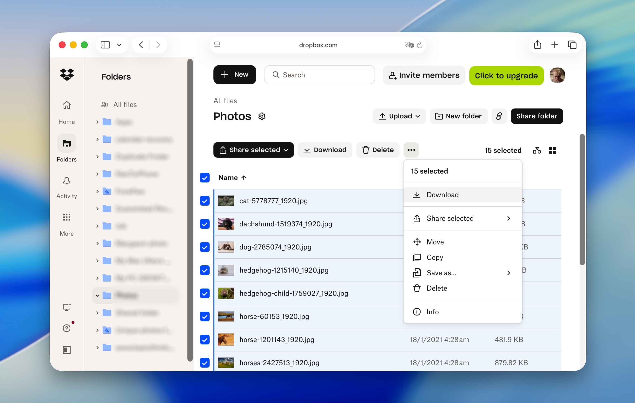 download lost files from cloud services