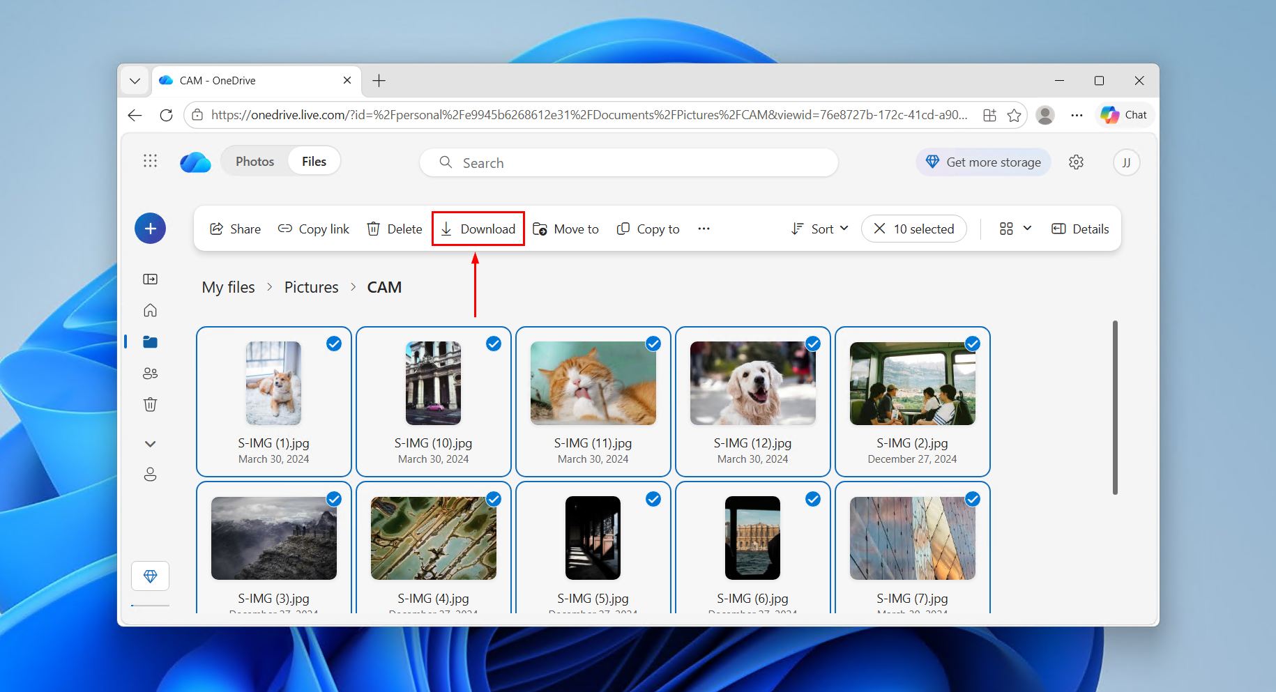 Downloading the OneDrive files.