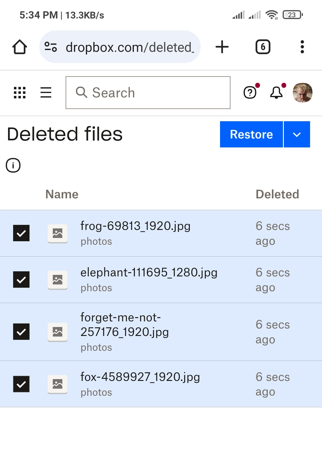 undelete photos with Dropbox backup