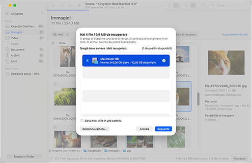 Esegui il ripristino con gli elementi selezionati Esegui il ripristino con gli elementi selezionati