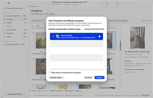 Realize a Recuperação com os Itens Selecionados