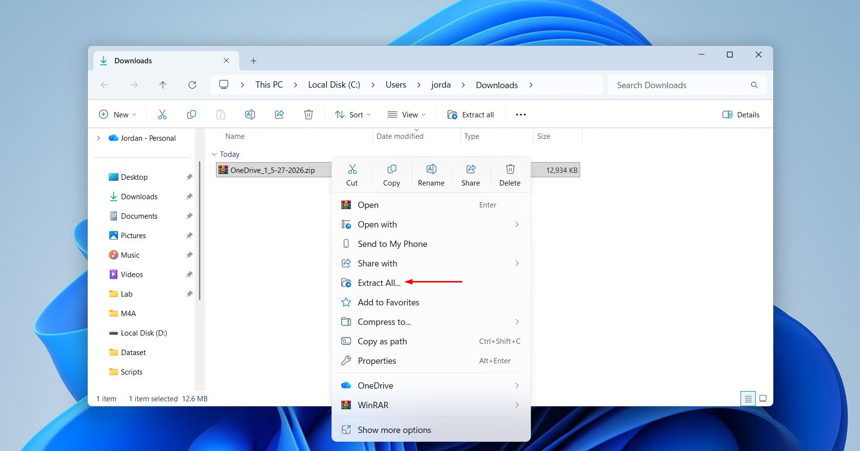 Extracting the OneDrive files.