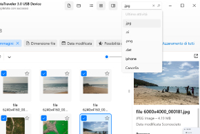 Gestisci i file recuperabili e cerca all'interno dei file trovati