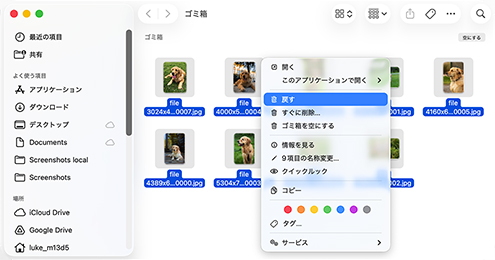 Macのゴミ箱から復元