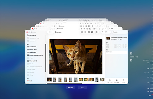Time Machine バックアップで復元