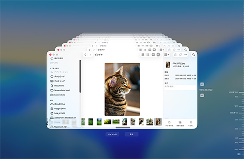 Time Machine バックアップから復元