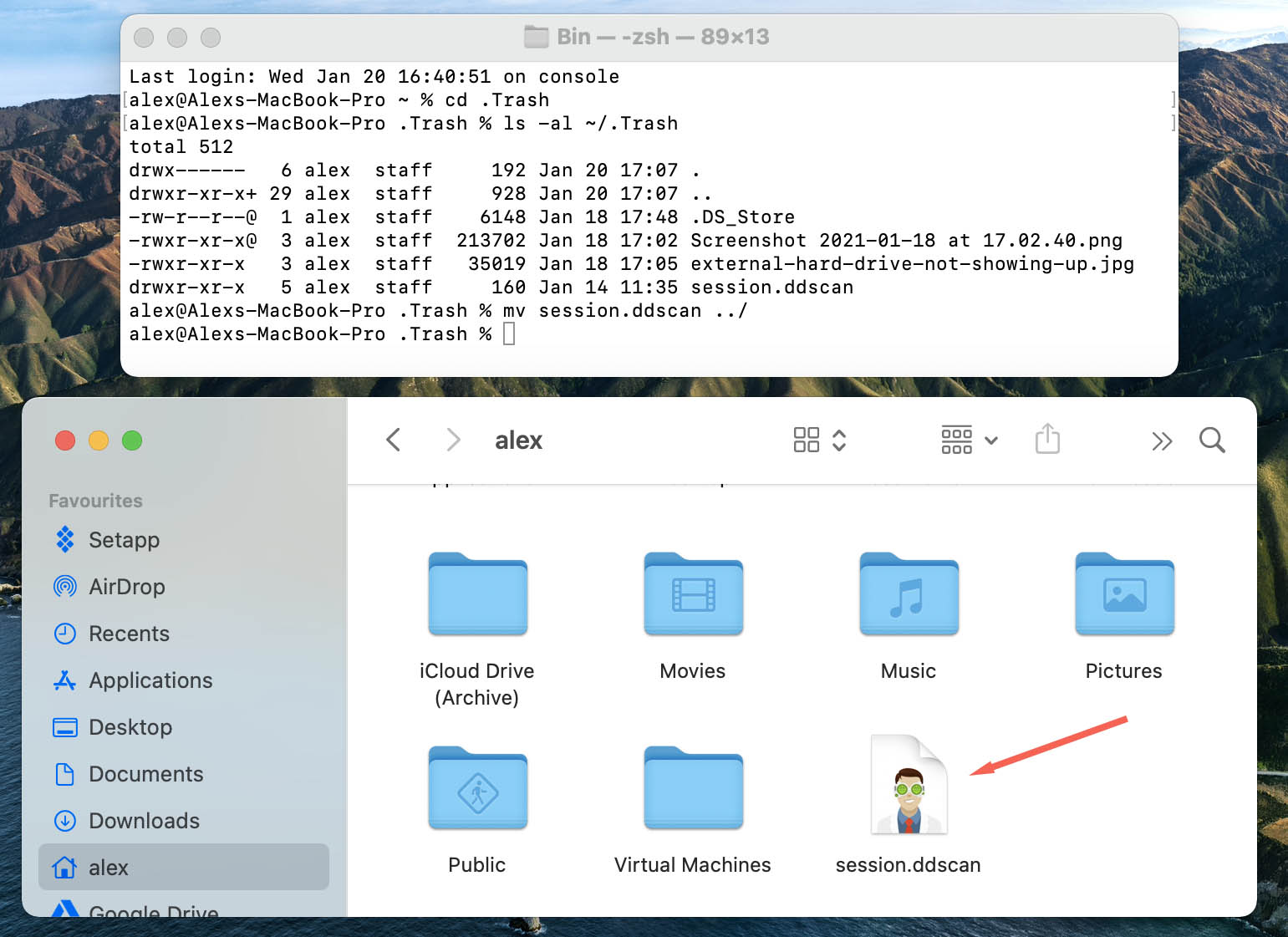 Mac recovery mode Terminal commands