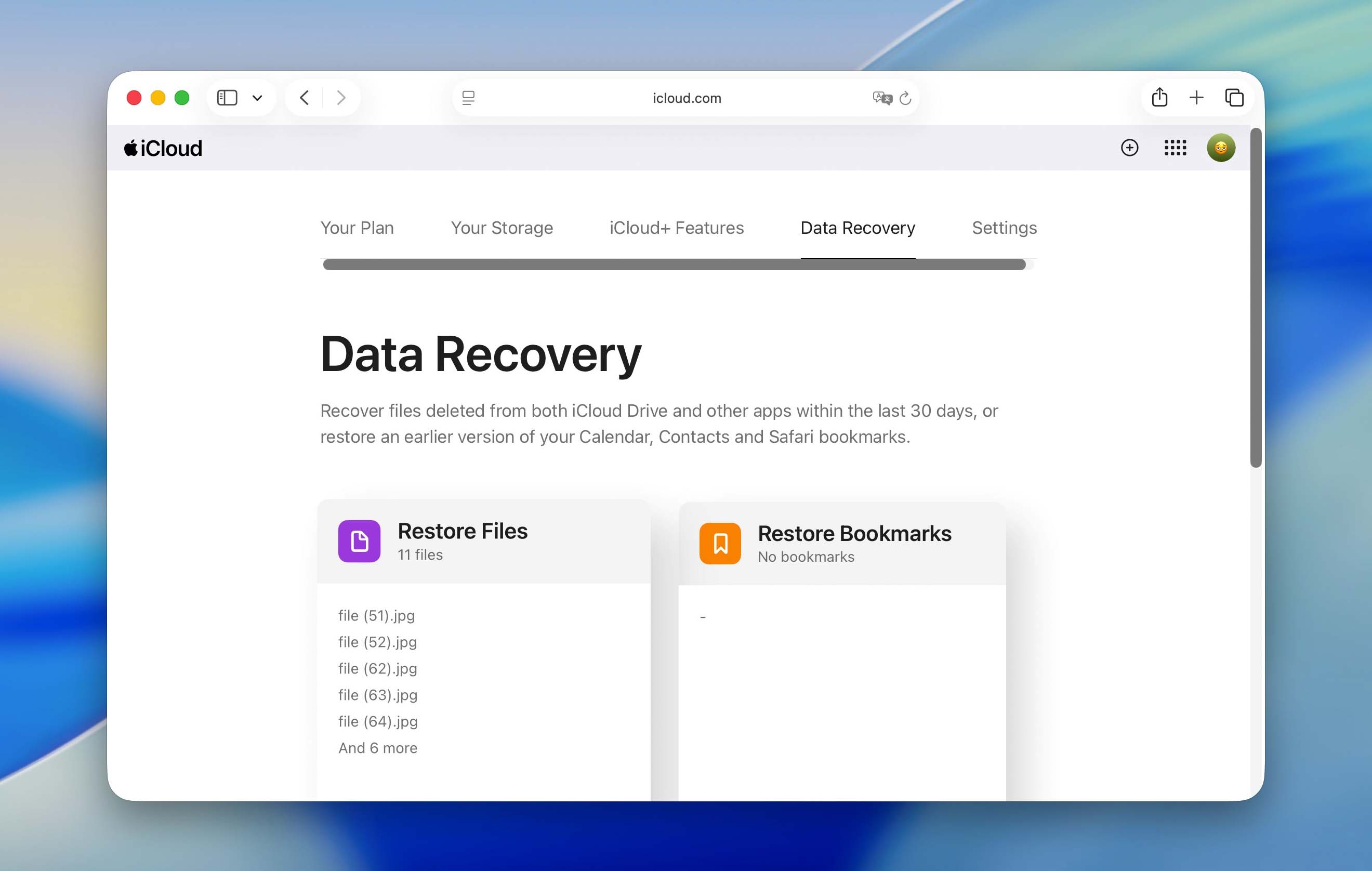 find recovery section in icloud