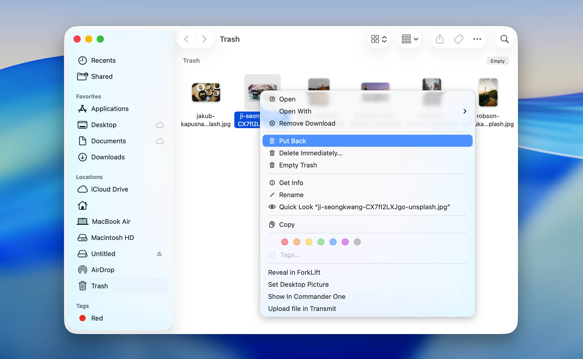 restore downloaded file from trash