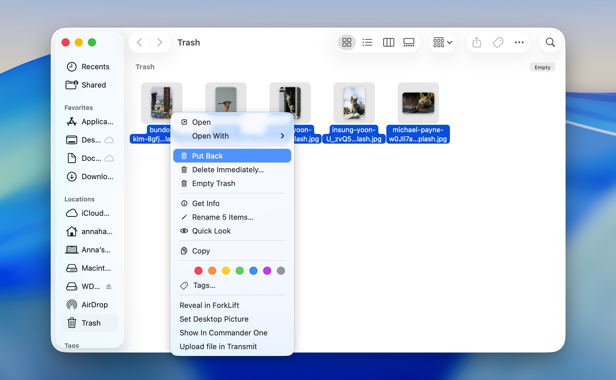 put back files from ssd mac trash
