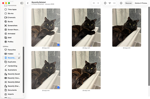 Recover Your Files from an App-Specific Trash Folder