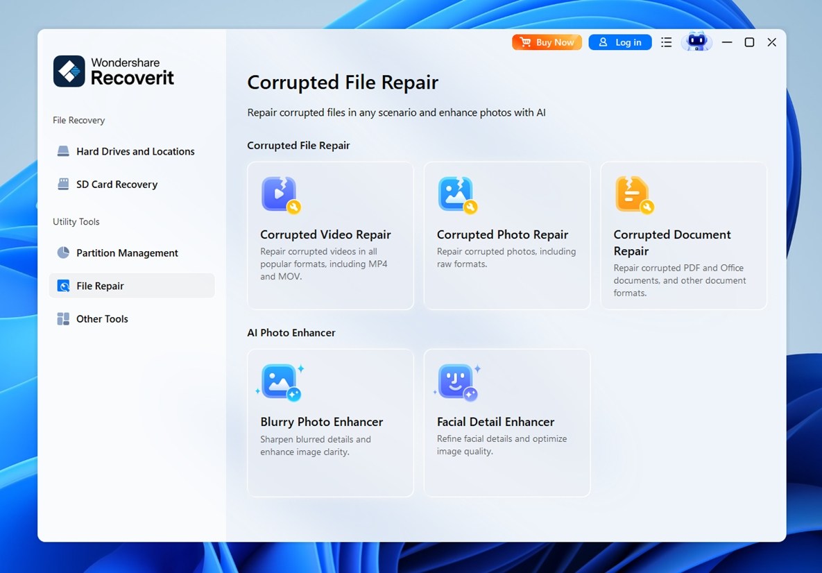 File Repair section