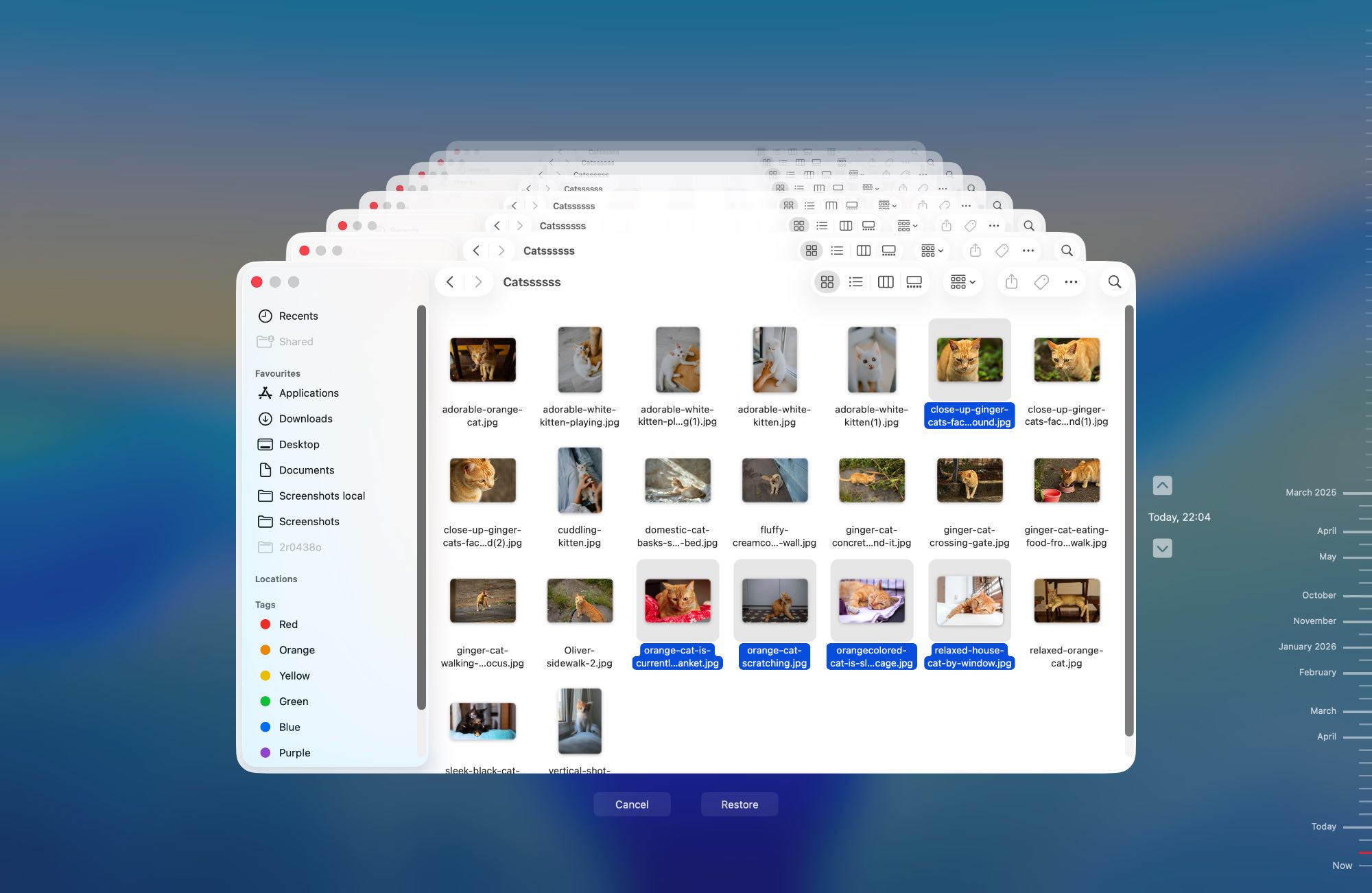 restore files with time machine