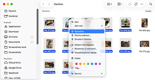 Ripristina i file eliminati su un Mac dal Cestino