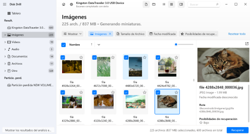 Seleccione los archivos que desea recuperar