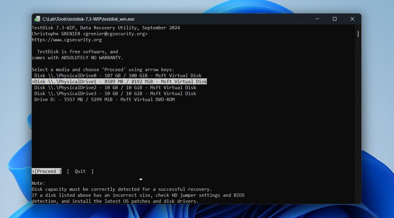 Selecting the disk.