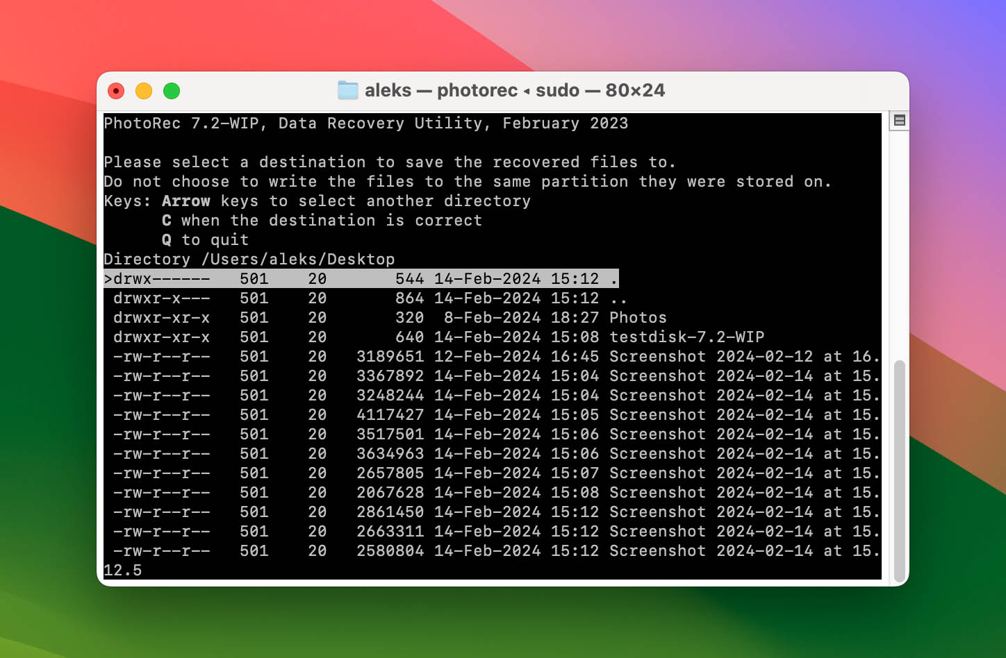 Mac Terminal PhotoRec destination