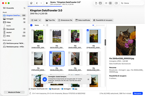 Seleziona i tuoi file eliminati