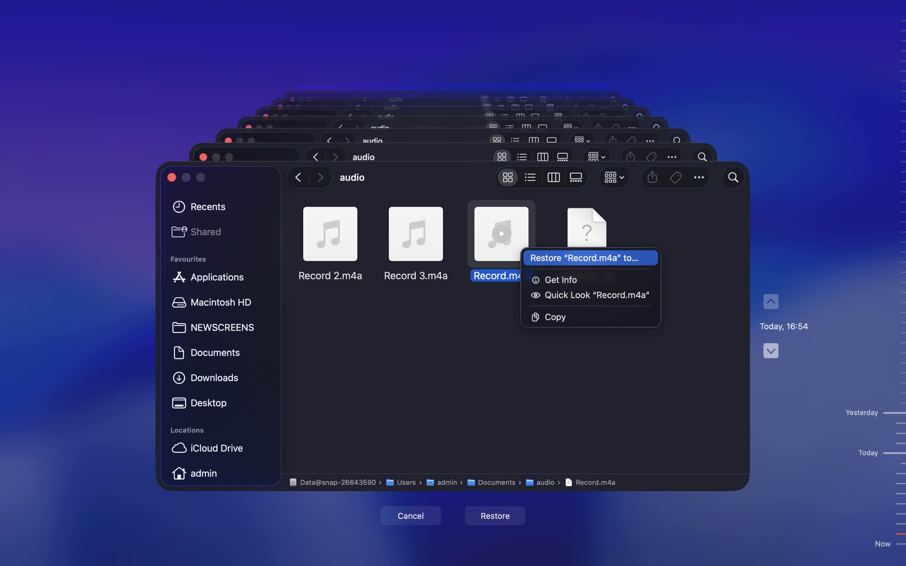 restoring a disappeared file using time machine