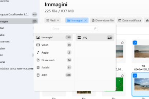 Usa i filtri per una ricerca più veloce / seleziona un tipo di file specifico