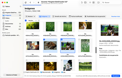 Previsualiza los archivos recuperables
