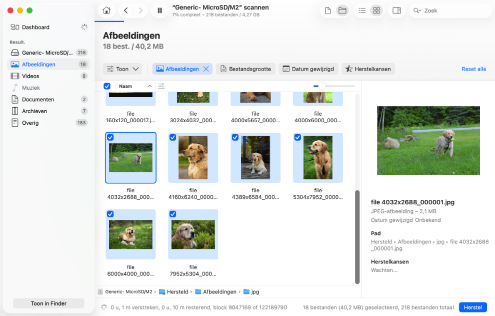 Voorbeeldweergave en selecteer bestanden voor herstel Voorbeeldweergave en selecteer bestanden voor herstel