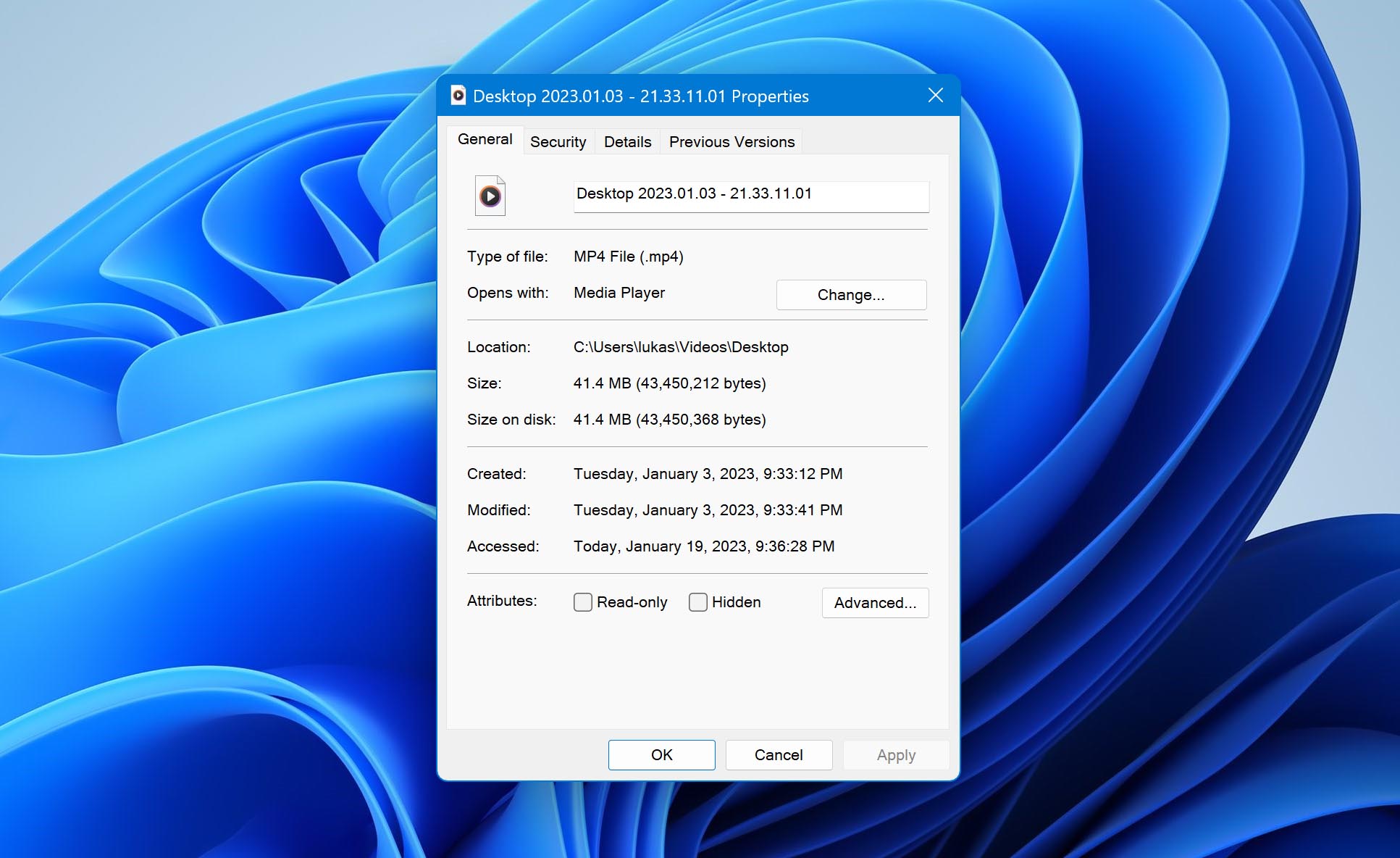 What is MP4 File Format