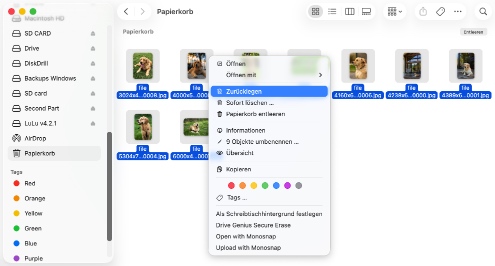 Wiederherstellen von Daten aus dem Papierkorb Ihres Mac
