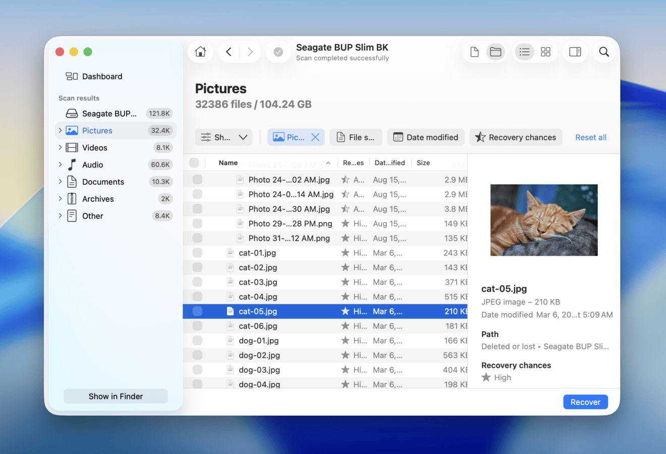 Disk Drill interface previewing a cat picture