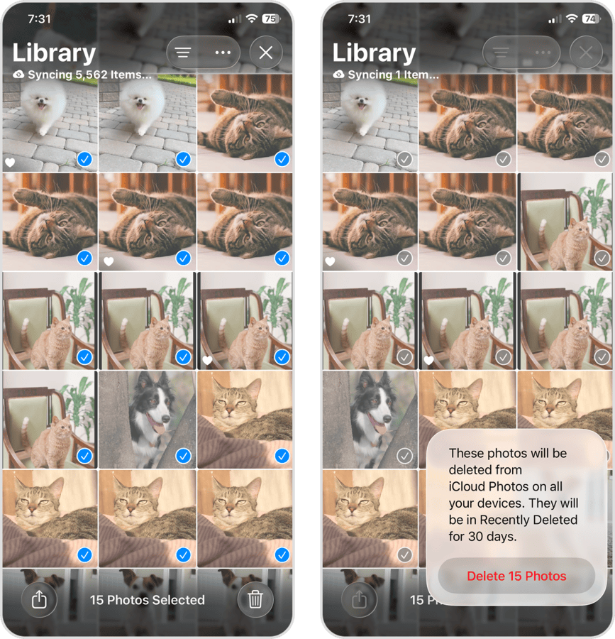 Deleting photos from iOS Photo Library