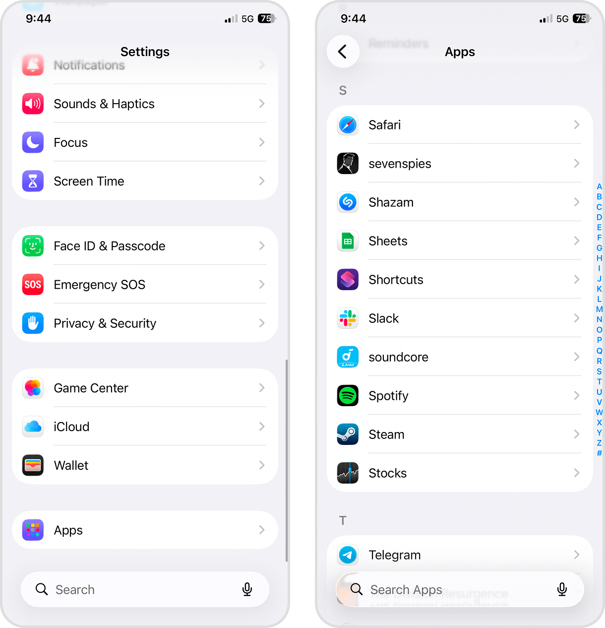 Safari settings in the iOS Settings app