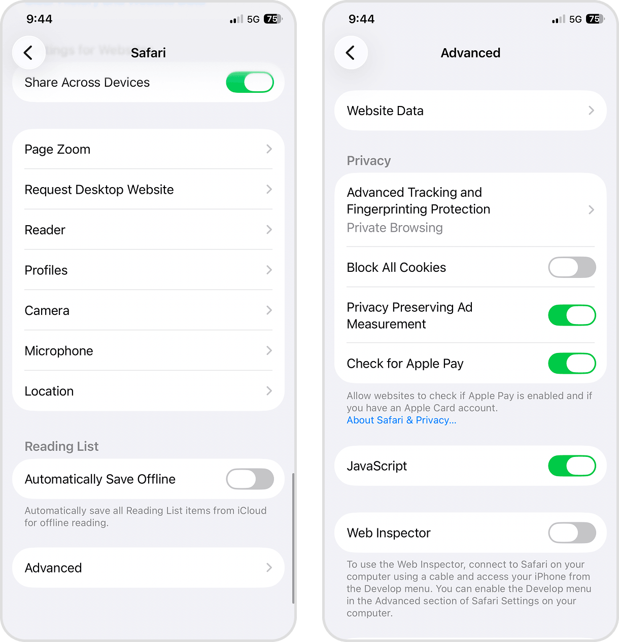 Navigating to Safari's website data page in the Settings app