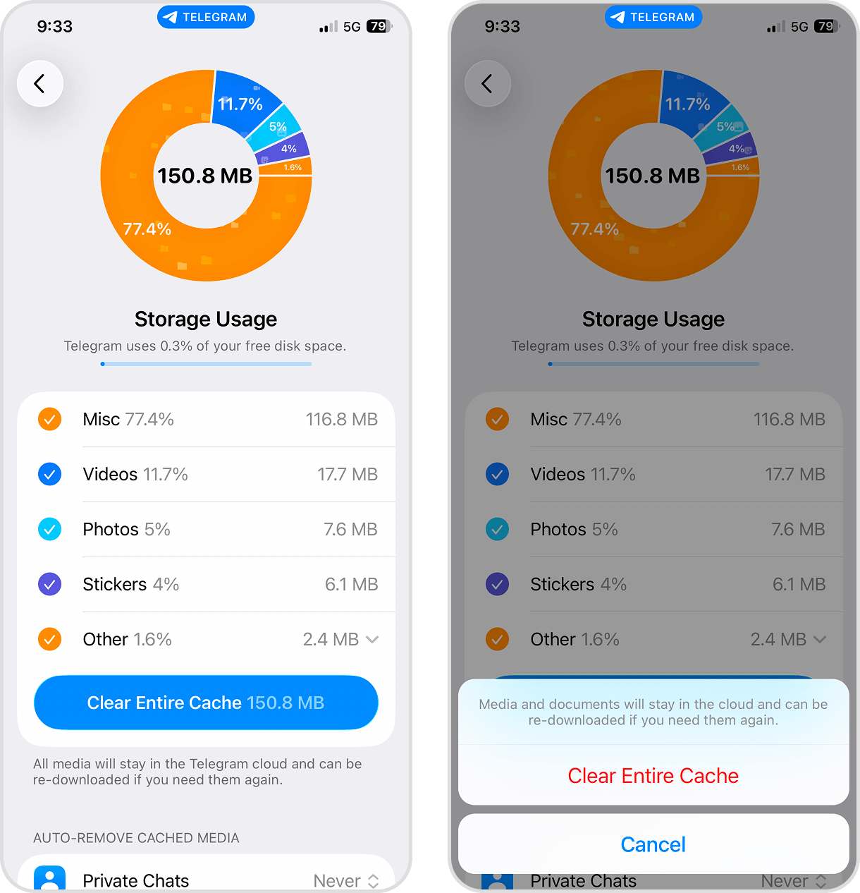 Clear Cache feature in the iOS Telegram app
