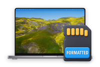 Hoe een Geformatteerde SD-kaart op Windows en Mac Herstellen Hoe een Geformatteerde SD-kaart op Windows en Mac Herstellen
